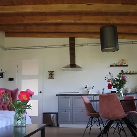 Bed & Breakfast Bij De Wilg Laren (Gelderland)