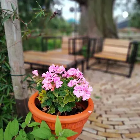 Bij De Wilg Laren (Gelderland)