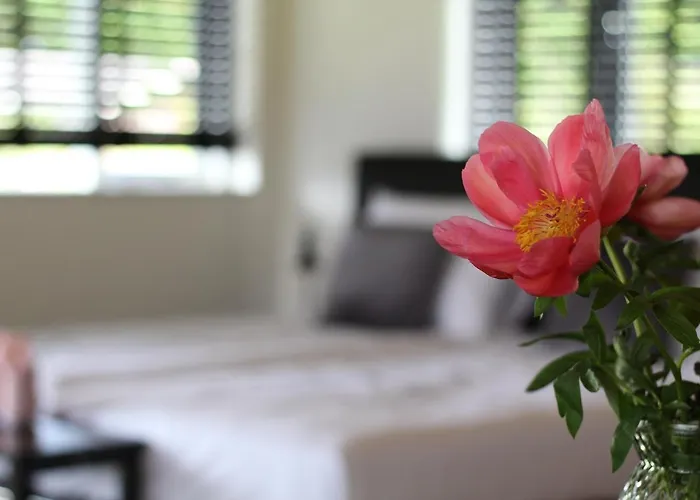 Bed & Breakfast Bij De Wilg 3*