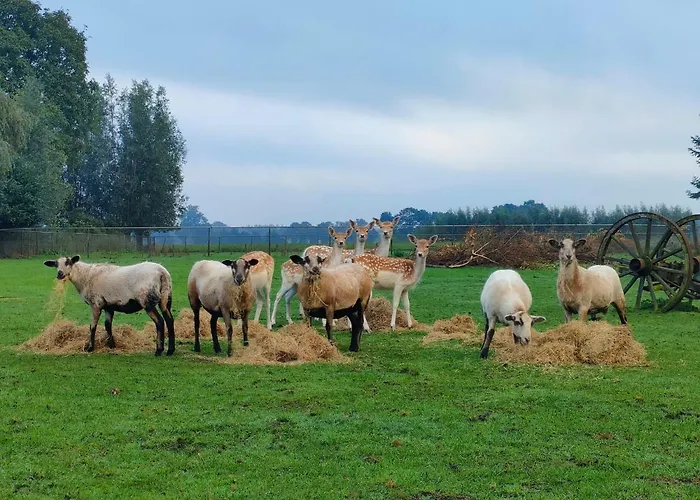 Bij De Wilg Panzió 3*