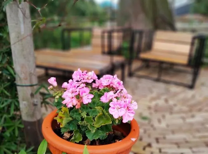 Bij De Wilg Laren (Gelderland)