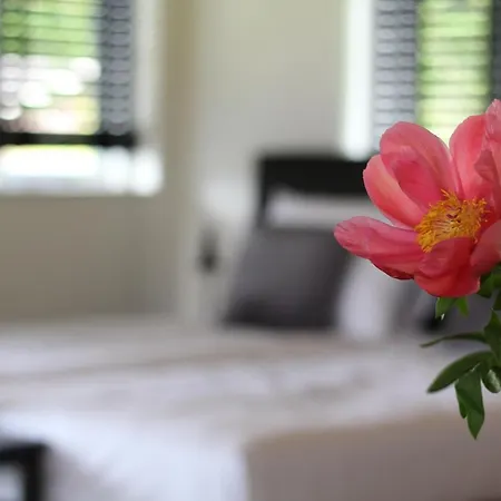 ベッド・アンド・ブレックファスト Bij De Wilg 3*