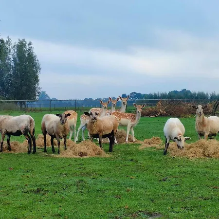 Bij De Wilg Alojamento de Acomodação e Pequeno-almoço 3*
