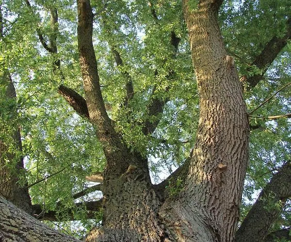 Bij De Wilg ベッド・アンド・ブレックファスト