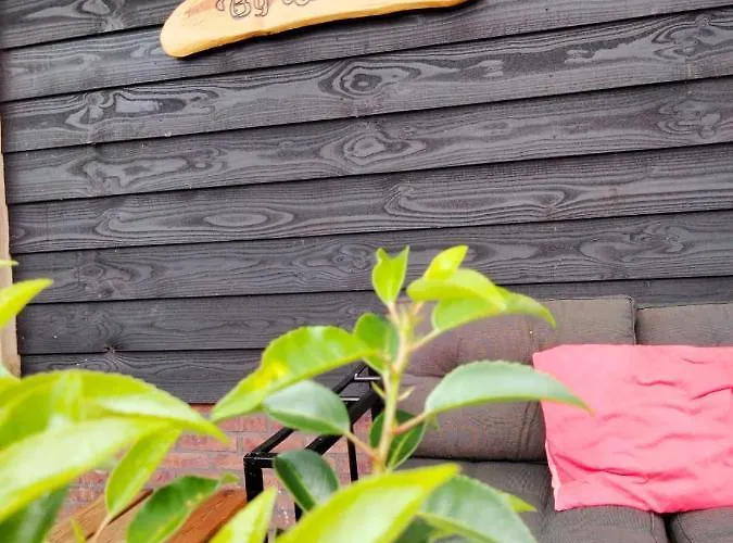 Bij De Wilg 3* Laren